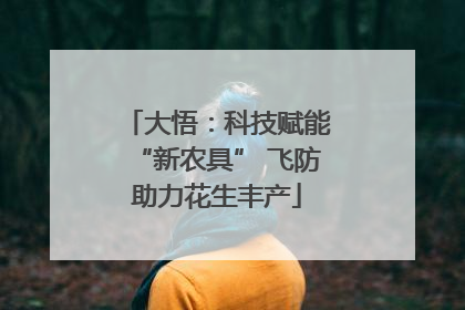 大悟：科技赋能“新农具” 飞防助力花生丰产