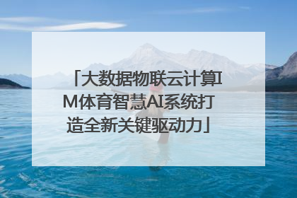 大数据物联云计算IM体育智慧AI系统打造全新关键驱动力