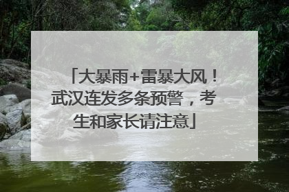 大暴雨+雷暴大风！武汉连发多条预警，考生和家长请注意