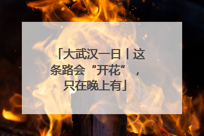 大武汉一日丨这条路会“开花”，只在晚上有