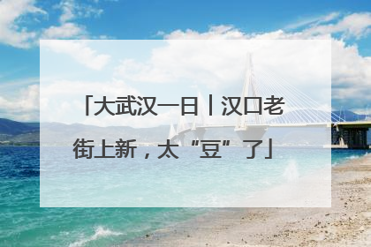 大武汉一日︱汉口老街上新，太“豆”了