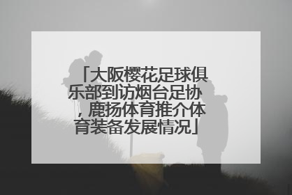 大阪樱花足球俱乐部到访烟台足协，鹿扬体育推介体育装备发展情况