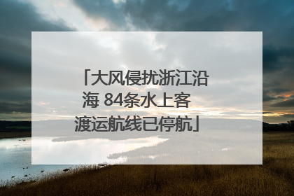 大风侵扰浙江沿海 84条水上客渡运航线已停航