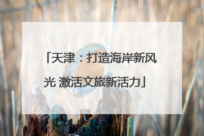 天津：打造海岸新风光 激活文旅新活力