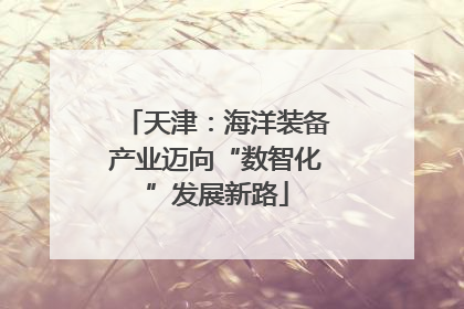 天津：海洋装备产业迈向“数智化”发展新路