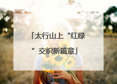 太行山上“红绿”交织新篇章