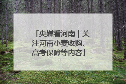 央媒看河南｜关注河南小麦收购、高考保障等内容