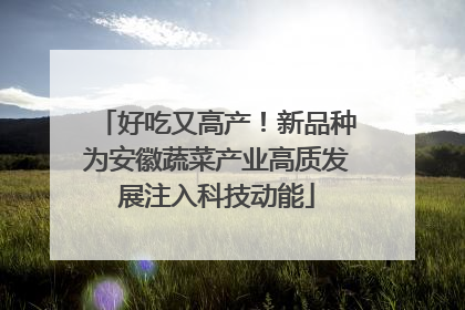 好吃又高产！新品种为安徽蔬菜产业高质发展注入科技动能