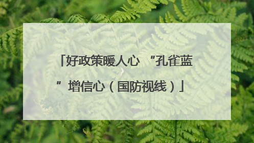 好政策暖人心 “孔雀蓝”增信心（国防视线）