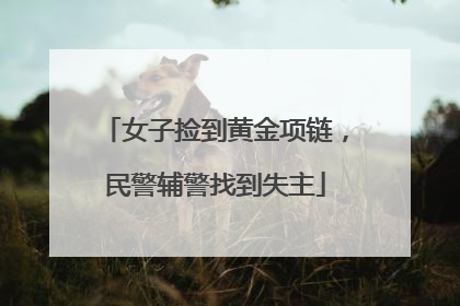 女子捡到黄金项链，民警辅警找到失主