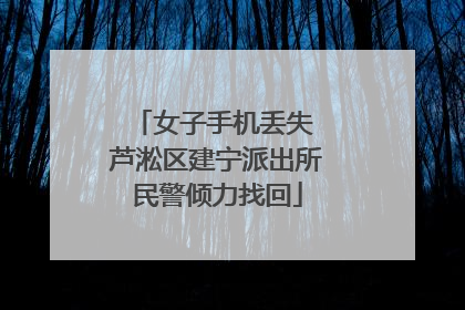 女子手机丢失 芦淞区建宁派出所民警倾力找回