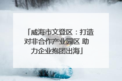 威海市文登区：打造对非合作产业园区 助力企业抱团出海