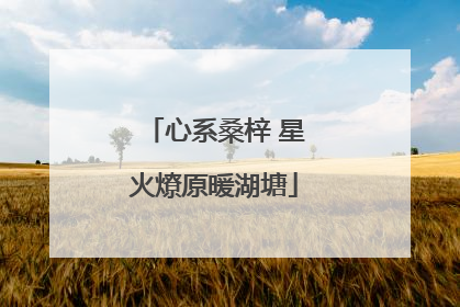 心系桑梓 星火燎原暖湖塘