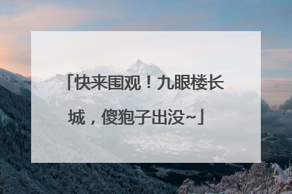 快来围观！九眼楼长城，傻狍子出没~