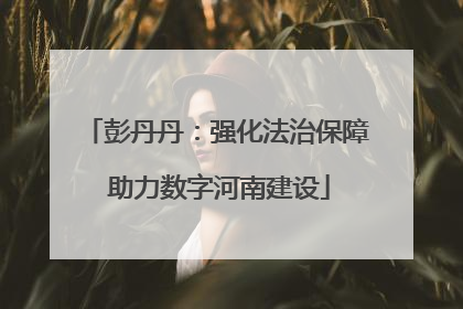 彭丹丹：强化法治保障 助力数字河南建设