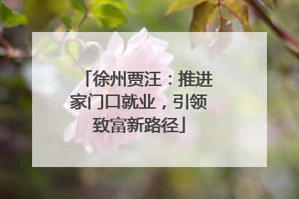 徐州贾汪：推进家门口就业，引领致富新路径