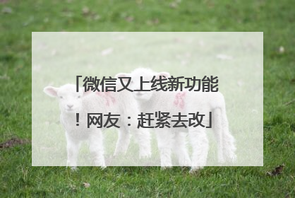 微信又上线新功能！网友：赶紧去改