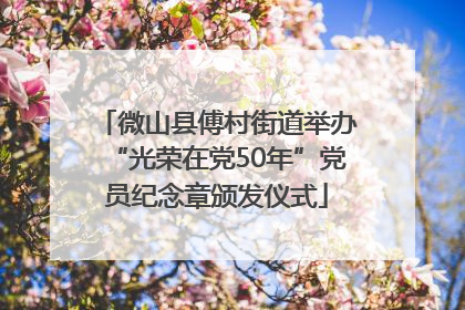 微山县傅村街道举办“光荣在党50年”党员纪念章颁发仪式