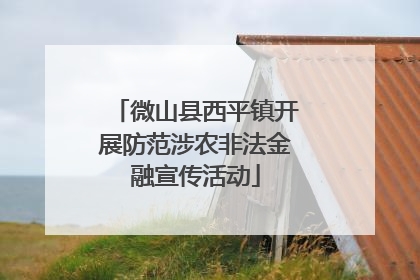 微山县西平镇开展防范涉农非法金融宣传活动
