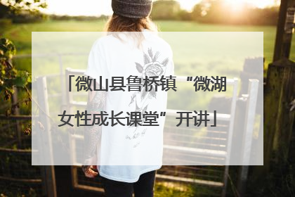 微山县鲁桥镇“微湖女性成长课堂”开讲