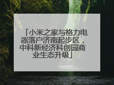 小米之家与格力电器落户济南起步区，中科新经济科创园商业生态升级