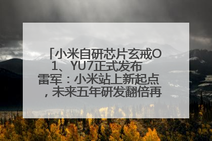 小米自研芯片玄戒O1、YU7正式发布 雷军：小米站上新起点，未来五年研发翻倍再投2000亿元