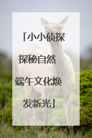 小小侦探探秘自然 端午文化焕发新光