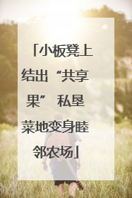 小板凳上结出“共享果” 私垦菜地变身睦邻农场