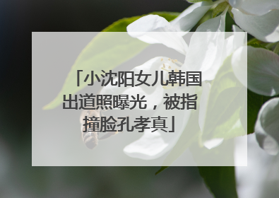 小沈阳女儿韩国出道照曝光，被指撞脸孔孝真