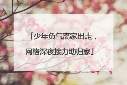 少年负气离家出走，网格深夜接力助归家