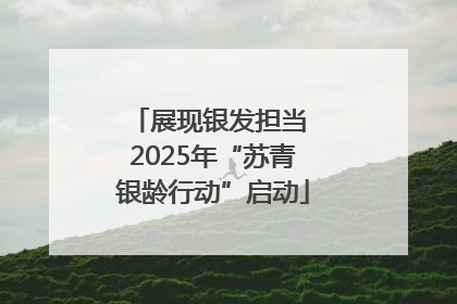 展现银发担当 2025年“苏青银龄行动”启动