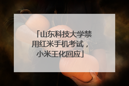 山东科技大学禁用红米手机考试，小米王化回应