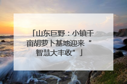 山东巨野：小镇千亩胡萝卜基地迎来“智慧大丰收”