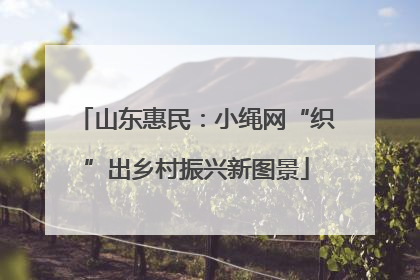 山东惠民：小绳网“织”出乡村振兴新图景