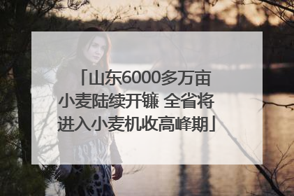 山东6000多万亩小麦陆续开镰 全省将进入小麦机收高峰期