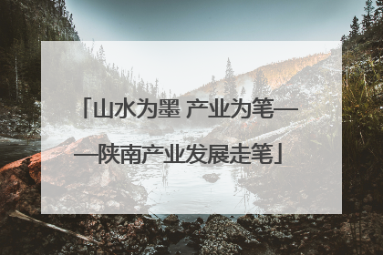 山水为墨 产业为笔——陕南产业发展走笔