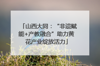 山西大同：“非遗赋能+产教融合”助力黄花产业绽放活力