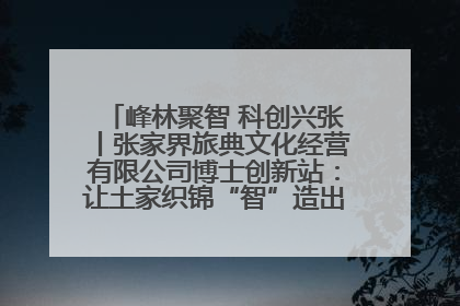峰林聚智 科创兴张丨张家界旅典文化经营有限公司博士创新站：让土家织锦“智”造出非遗新传奇