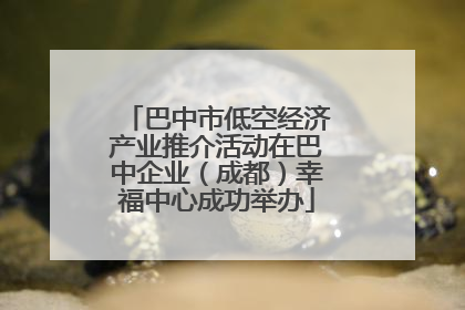 巴中市低空经济产业推介活动在巴中企业（成都）幸福中心成功举办