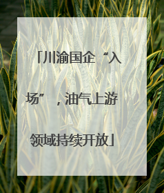 川渝国企“入场”，油气上游领域持续开放