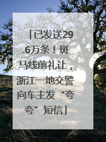 已发送29.6万条！斑马线前礼让，浙江一地交警向车主发“夸夸”短信