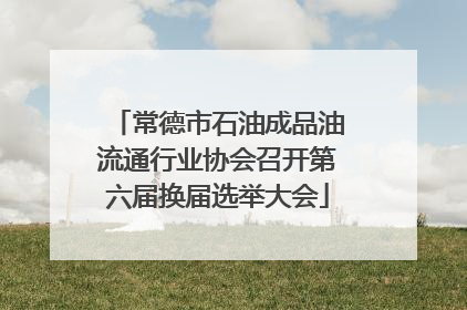常德市石油成品油流通行业协会召开第六届换届选举大会