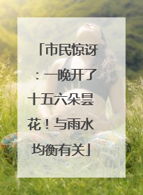 市民惊讶：一晚开了十五六朵昙花！与雨水均衡有关