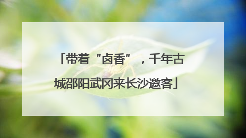 带着“卤香”，千年古城邵阳武冈来长沙邀客