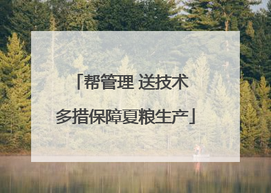 帮管理 送技术 多措保障夏粮生产