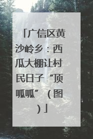 广信区黄沙岭乡：西瓜大棚让村民日子“顶呱呱”（图）