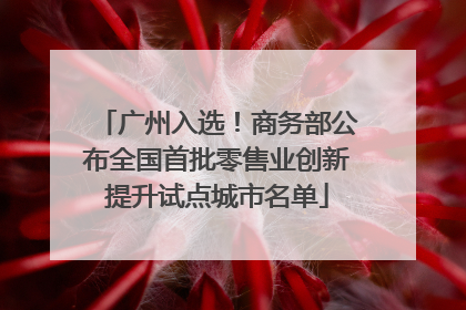 广州入选！商务部公布全国首批零售业创新提升试点城市名单