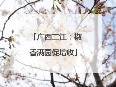 广西三江：椒香满园促增收