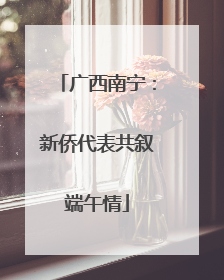 广西南宁：新侨代表共叙端午情