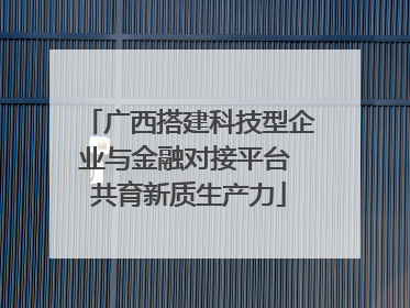 广西搭建科技型企业与金融对接平台 共育新质生产力